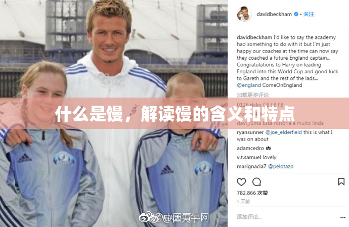 什么是馒，解读馒的含义和特点