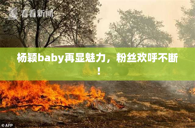 杨颖baby再显魅力，粉丝欢呼不断！