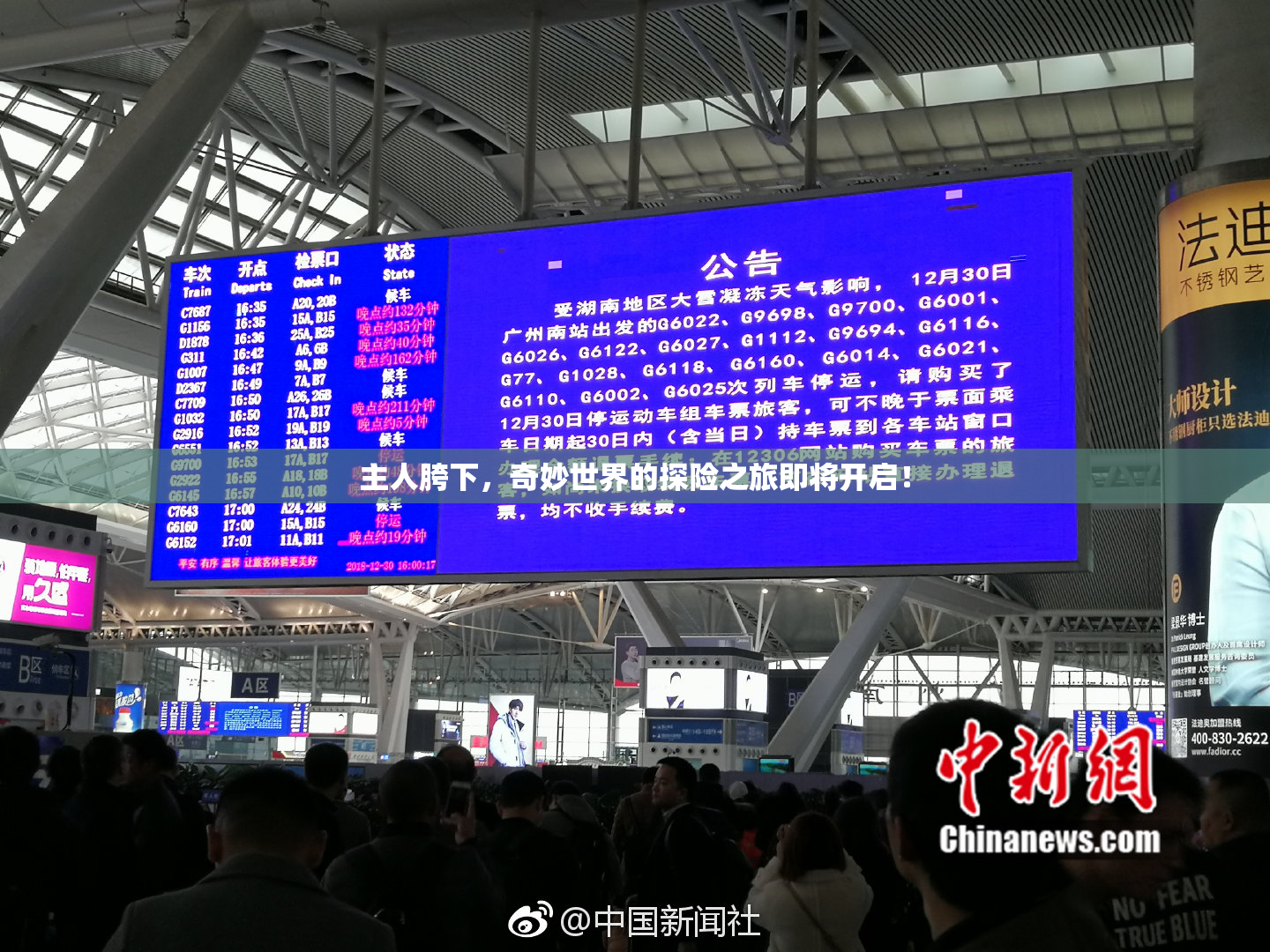 主人胯下，奇妙世界的探险之旅即将开启！