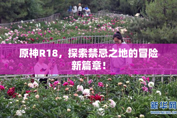 原神R18，探索禁忌之地的冒险新篇章！