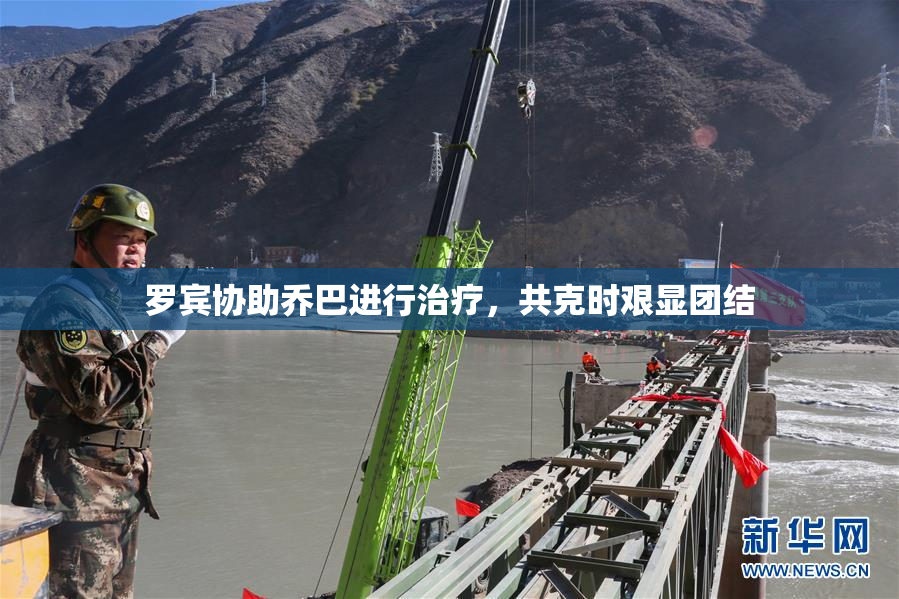 罗宾协助乔巴进行治疗，共克时艰显团结