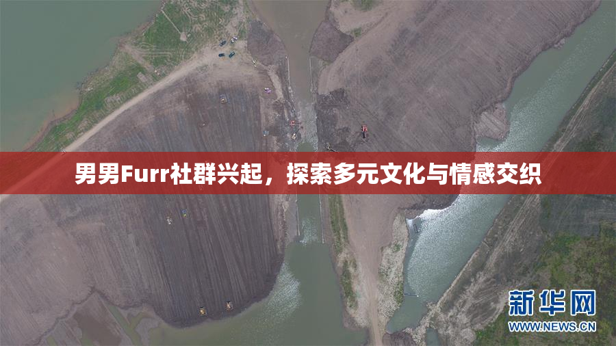 男男Furr社群兴起，探索多元文化与情感交织