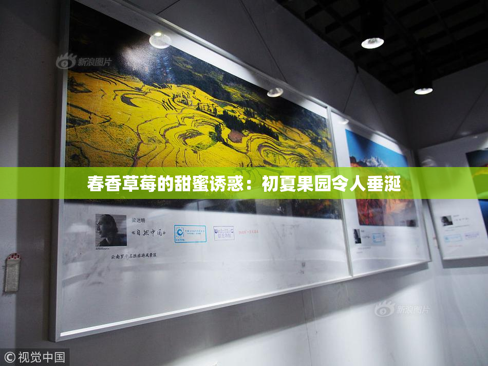 春香草莓的甜蜜诱惑：初夏果园令人垂涎