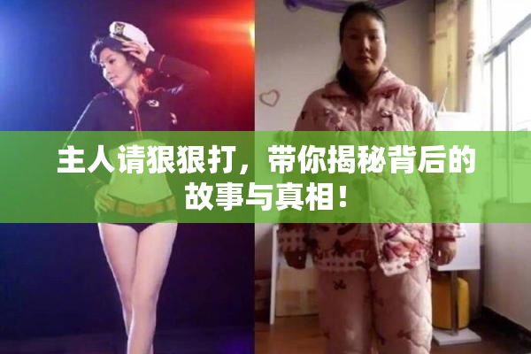主人请狠狠打，带你揭秘背后的故事与真相！