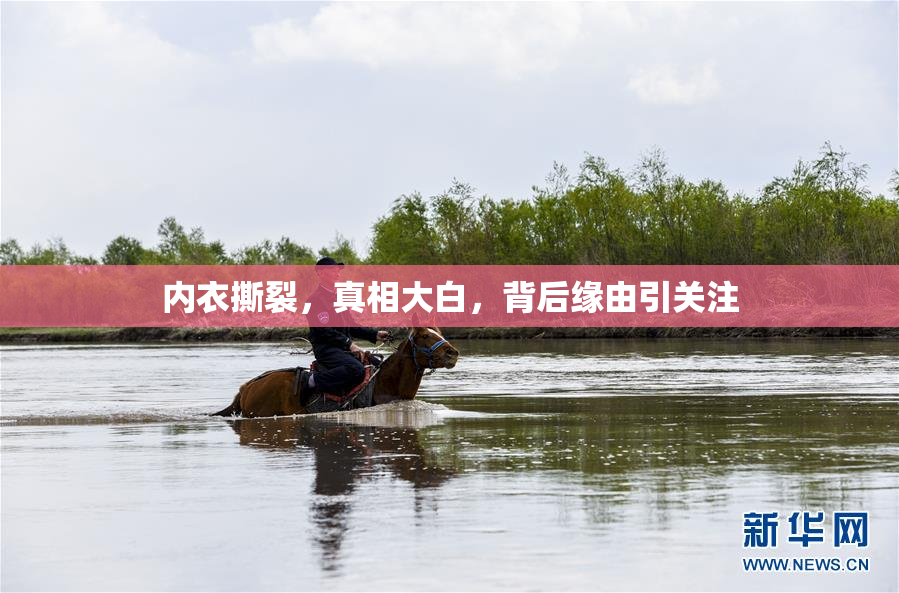 内衣撕裂，真相大白，背后缘由引关注