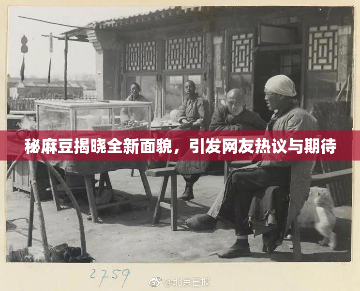 秘麻豆揭晓全新面貌，引发网友热议与期待