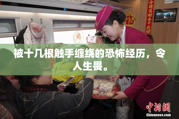 被十几根触手缠绕的恐怖经历，令人生畏。