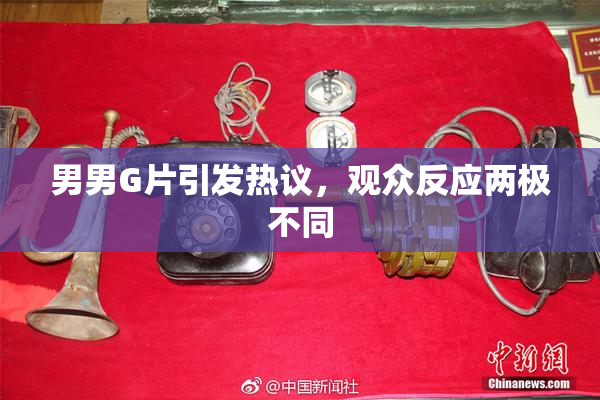 男男G片引发热议，观众反应两极不同
