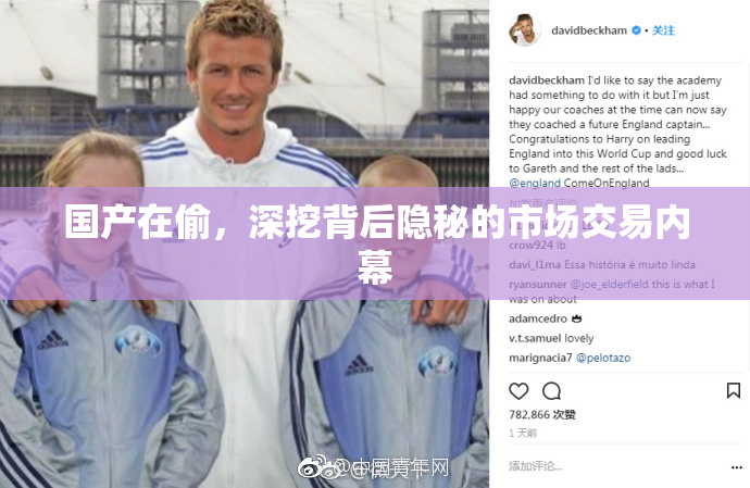 国产在偷，深挖背后隐秘的市场交易内幕