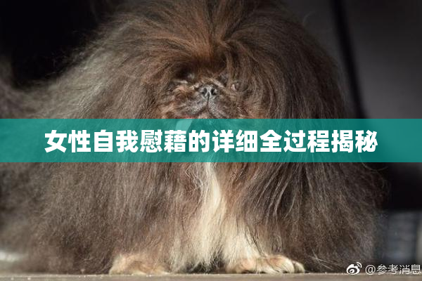 女性自我慰藉的详细全过程揭秘