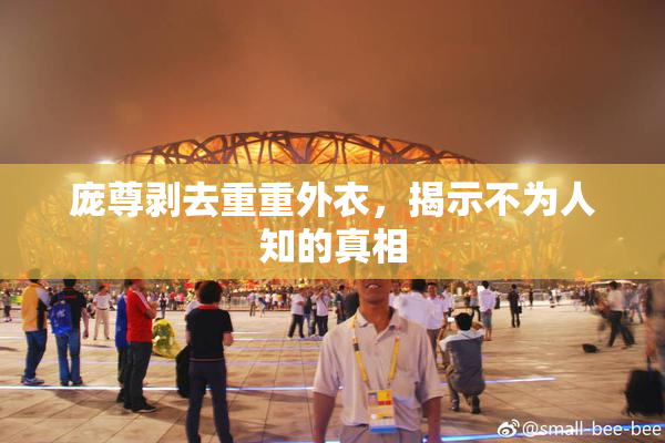 庞尊剥去重重外衣，揭示不为人知的真相