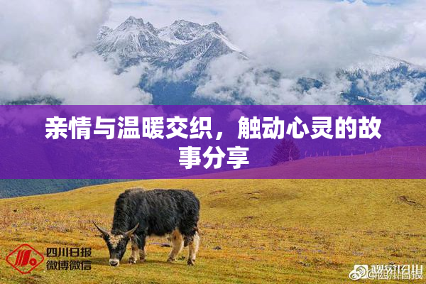 亲情与温暖交织，触动心灵的故事分享