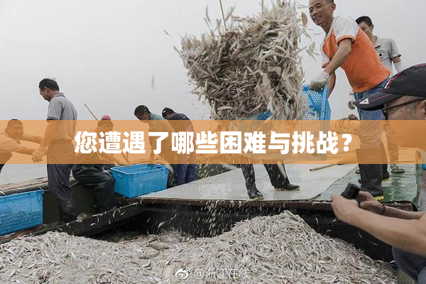 您遭遇了哪些困难与挑战？