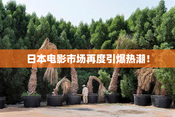 日本电影市场再度引爆热潮！