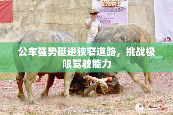 公车强势挺进狭窄道路，挑战极限驾驶能力