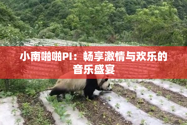 小南啪啪PI：畅享激情与欢乐的音乐盛宴
