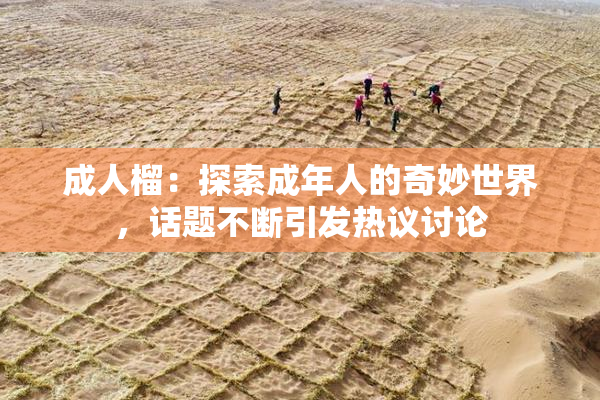 成人榴：探索成年人的奇妙世界，话题不断引发热议讨论