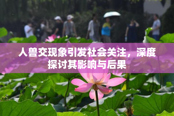 人兽交现象引发社会关注，深度探讨其影响与后果