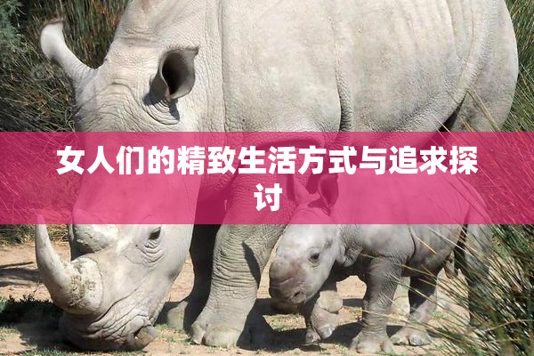 女人们的精致生活方式与追求探讨