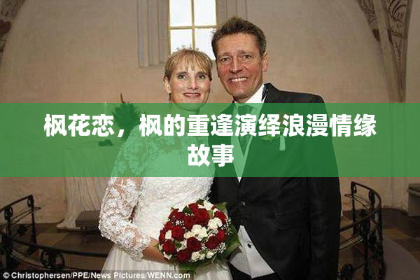 枫花恋，枫的重逢演绎浪漫情缘故事