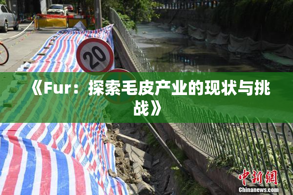 《Fur：探索毛皮产业的现状与挑战》