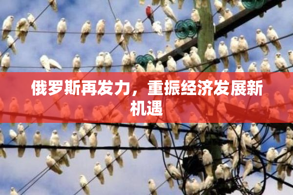 俄罗斯再发力，重振经济发展新机遇