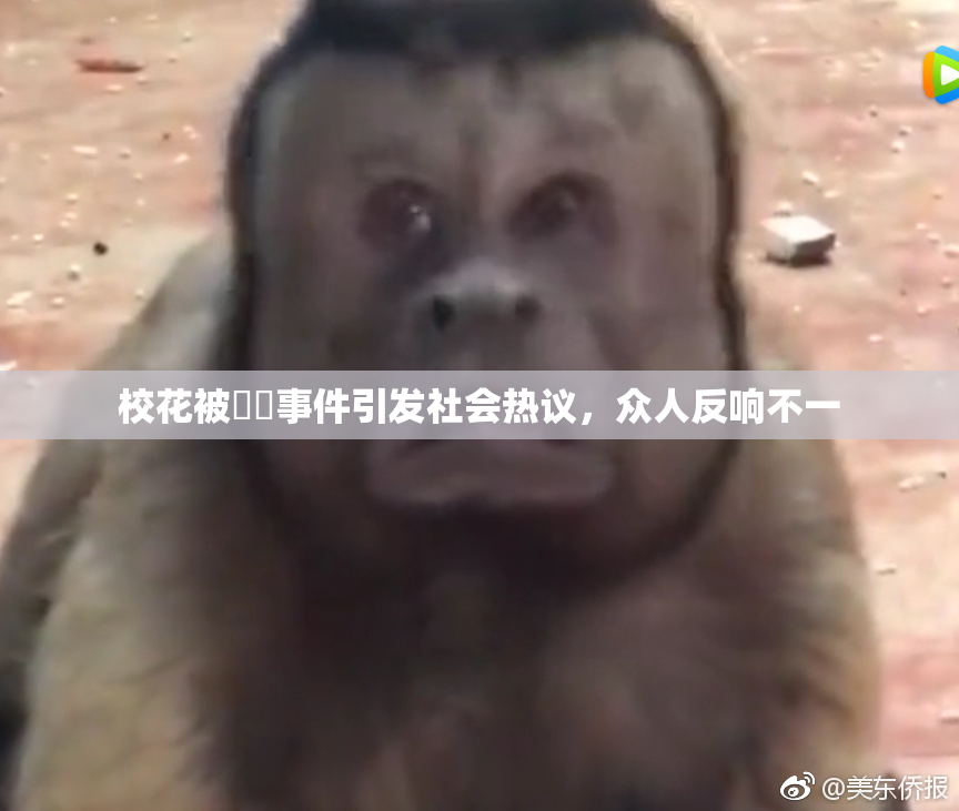 校花被❌‌事件引发社会热议，众人反响不一