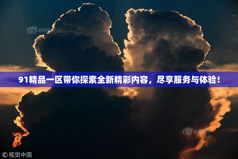 91精品一区带你探索全新精彩内容，尽享服务与体验！