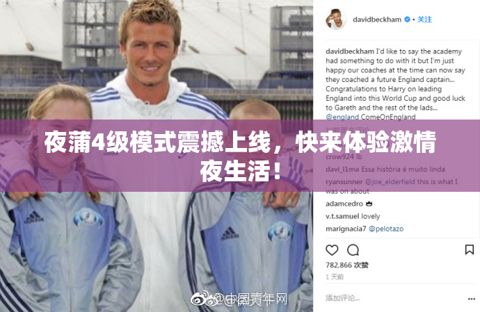 夜蒲4级模式震撼上线，快来体验激情夜生活！