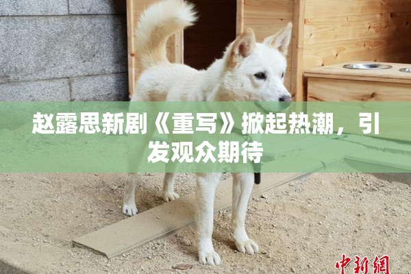 赵露思新剧《重写》掀起热潮，引发观众期待