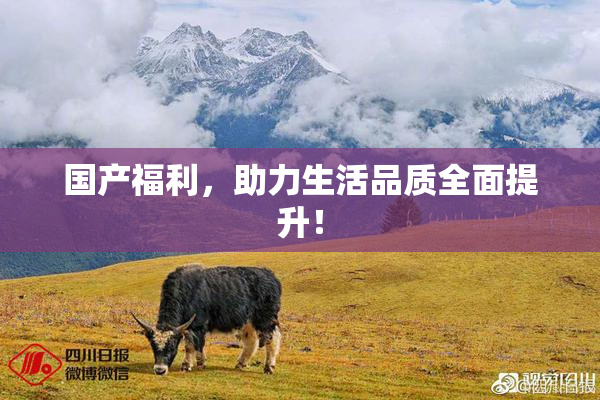 国产福利，助力生活品质全面提升！