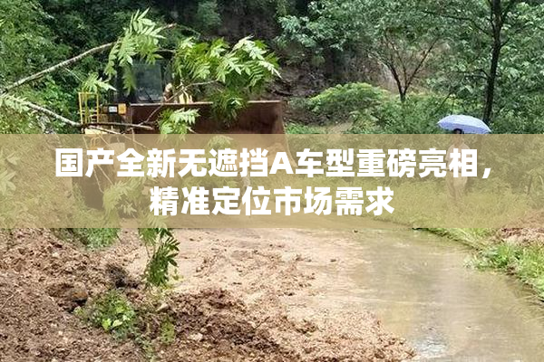 国产全新无遮挡A车型重磅亮相，精准定位市场需求