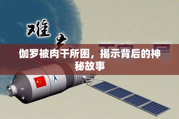 伽罗被肉干所困，揭示背后的神秘故事