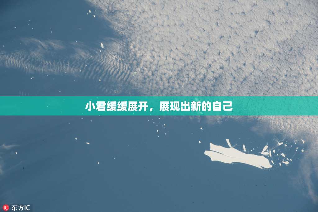 小君缓缓展开，展现出新的自己