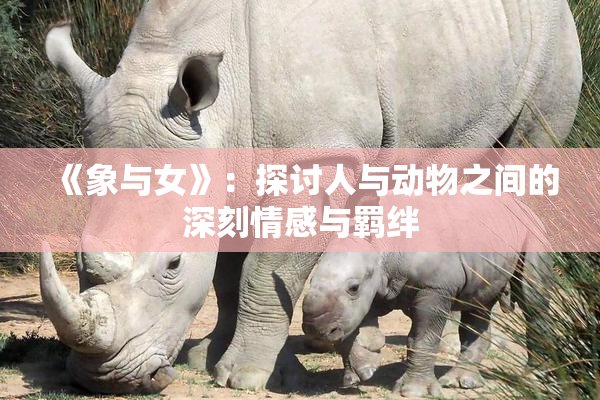 《象与女》：探讨人与动物之间的深刻情感与羁绊