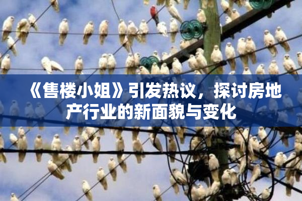 《售楼小姐》引发热议，探讨房地产行业的新面貌与变化