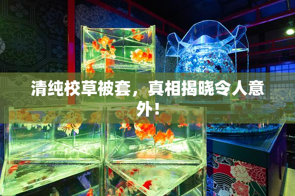 清纯校草被套，真相揭晓令人意外！