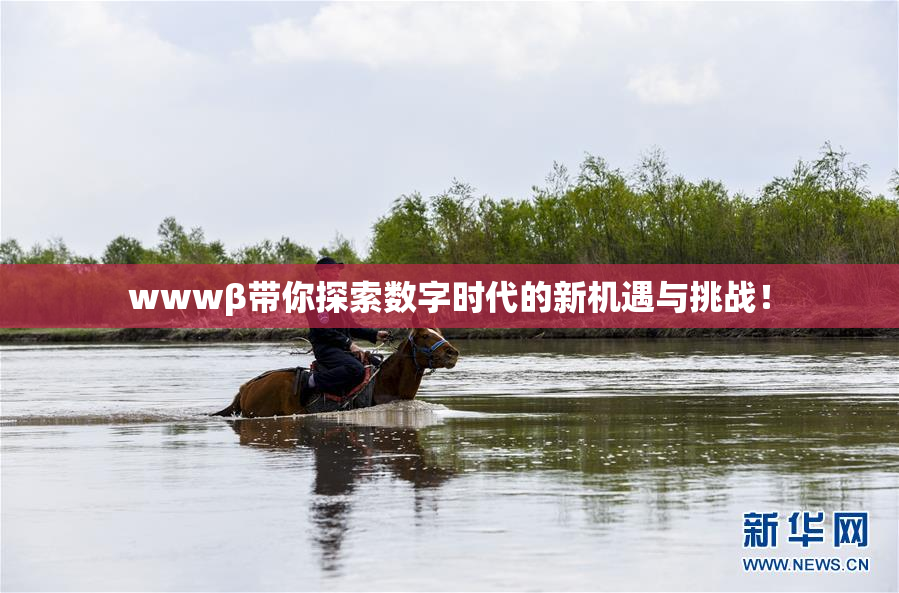 wwwβ带你探索数字时代的新机遇与挑战！