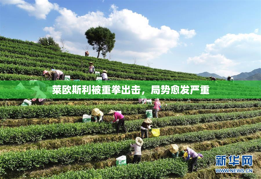 莱欧斯利被重拳出击，局势愈发严重