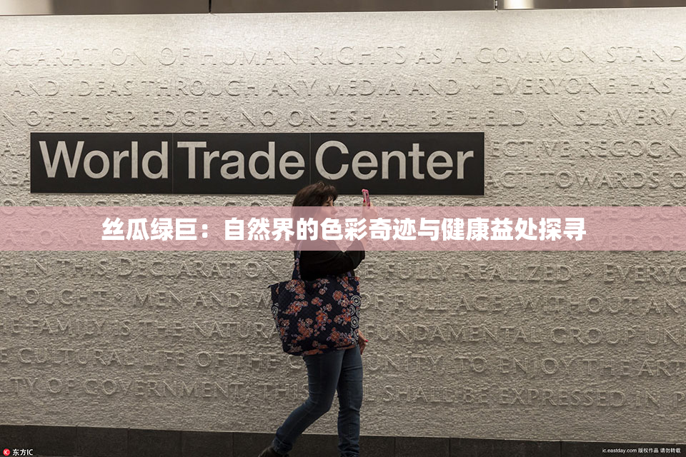 丝瓜绿巨：自然界的色彩奇迹与健康益处探寻