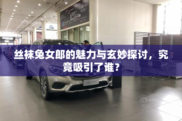 丝袜兔女郎的魅力与玄妙探讨，究竟吸引了谁？