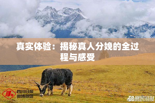 真实体验：揭秘真人分娩的全过程与感受