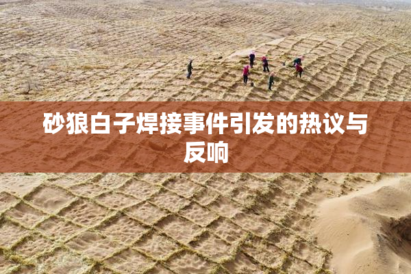 砂狼白子焊接事件引发的热议与反响