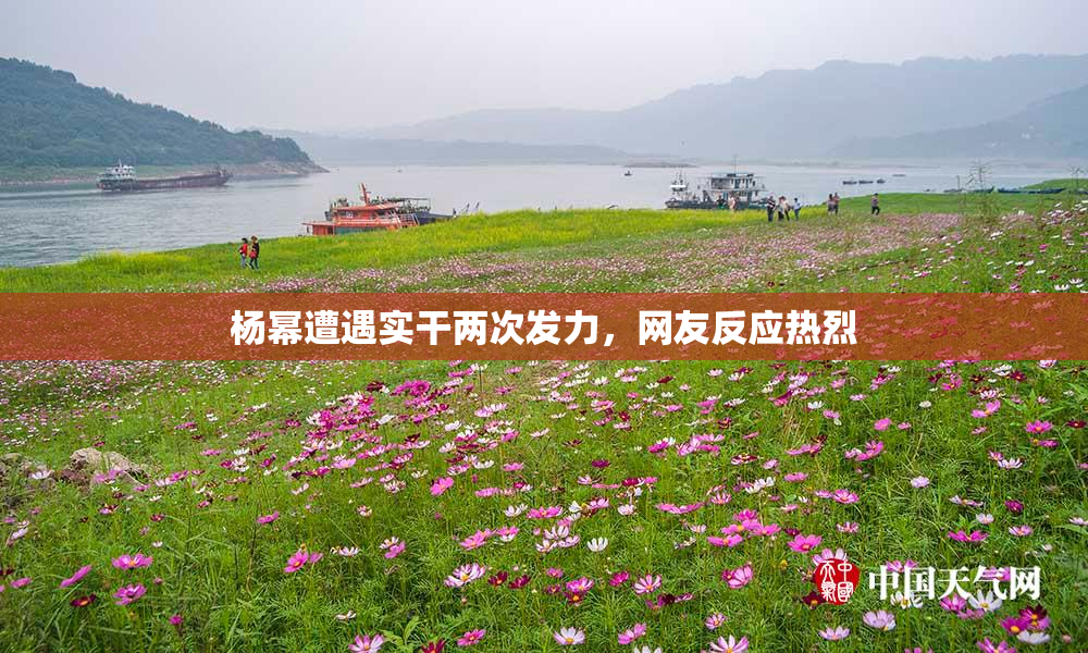 杨幂遭遇实干两次发力，网友反应热烈