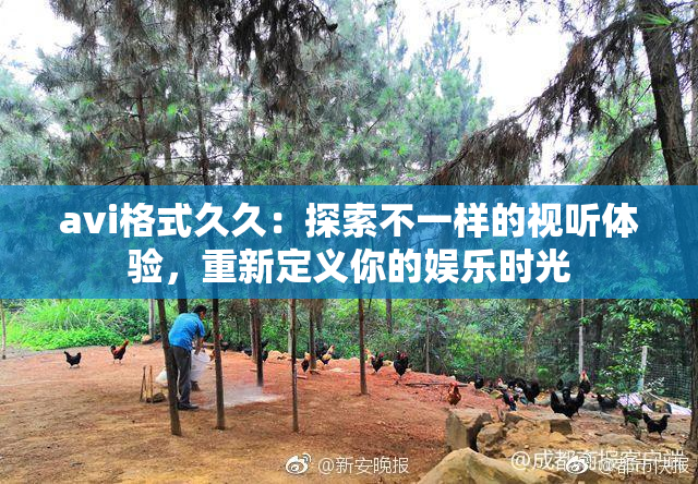 avi格式久久：探索不一样的视听体验，重新定义你的娱乐时光