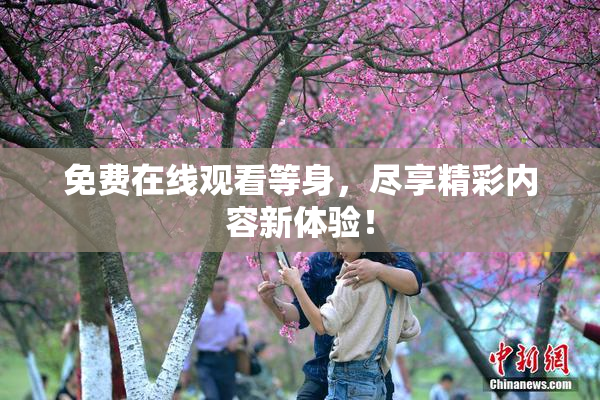 免费在线观看等身，尽享精彩内容新体验！