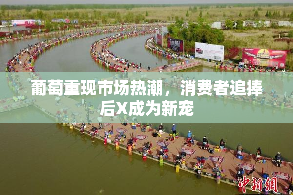 葡萄重现市场热潮，消费者追捧后X成为新宠