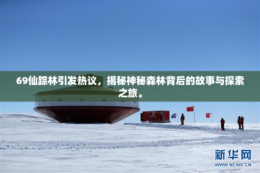 69仙踪林引发热议，揭秘神秘森林背后的故事与探索之旅。