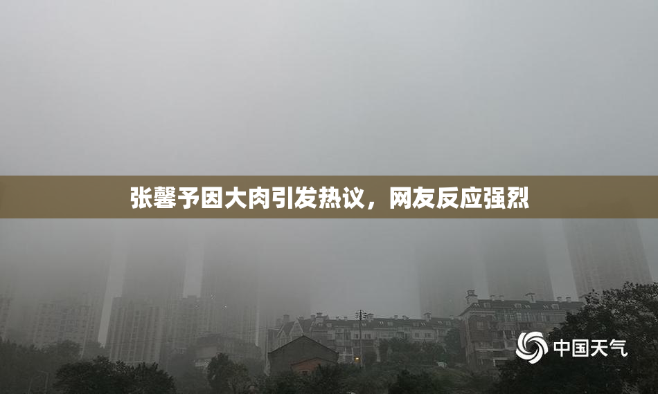 张馨予因大肉引发热议，网友反应强烈