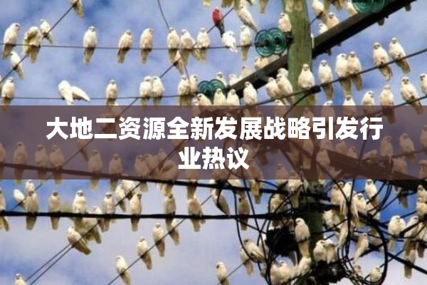 大地二资源全新发展战略引发行业热议